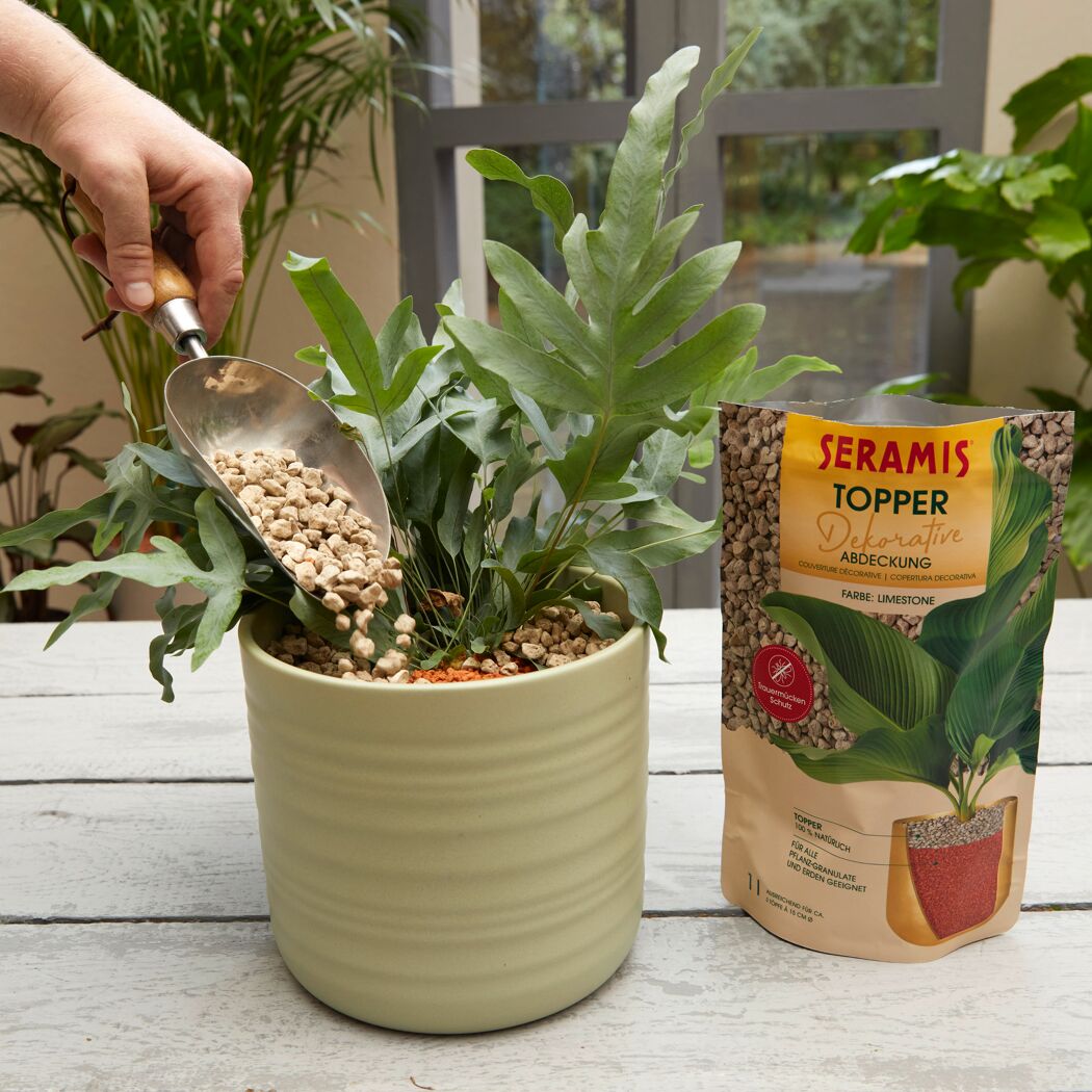 Pflanzgranulat 'Topper' Limestone Bims 1 l