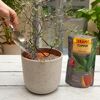 Pflanzgranulat 'Topper' Graphite Basalt 1 l