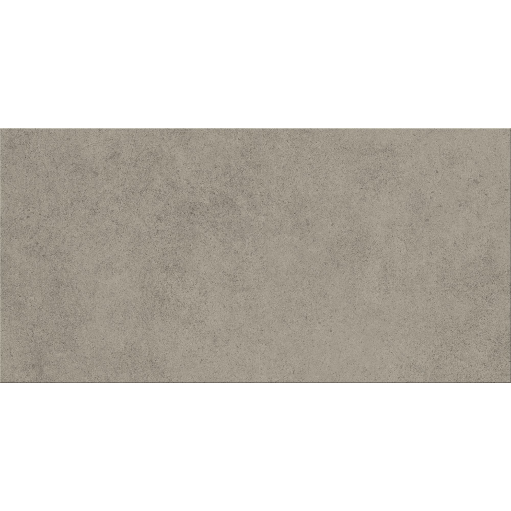 Bodenfliese 'Base' Feinsteinzeug grau 29,8 x 59,8 x 0,8 cm