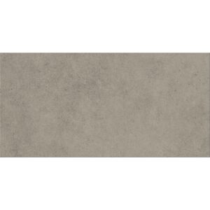 Bodenfliese 'Base' Feinsteinzeug grau 29,8 x 59,8 x 0,8 cm