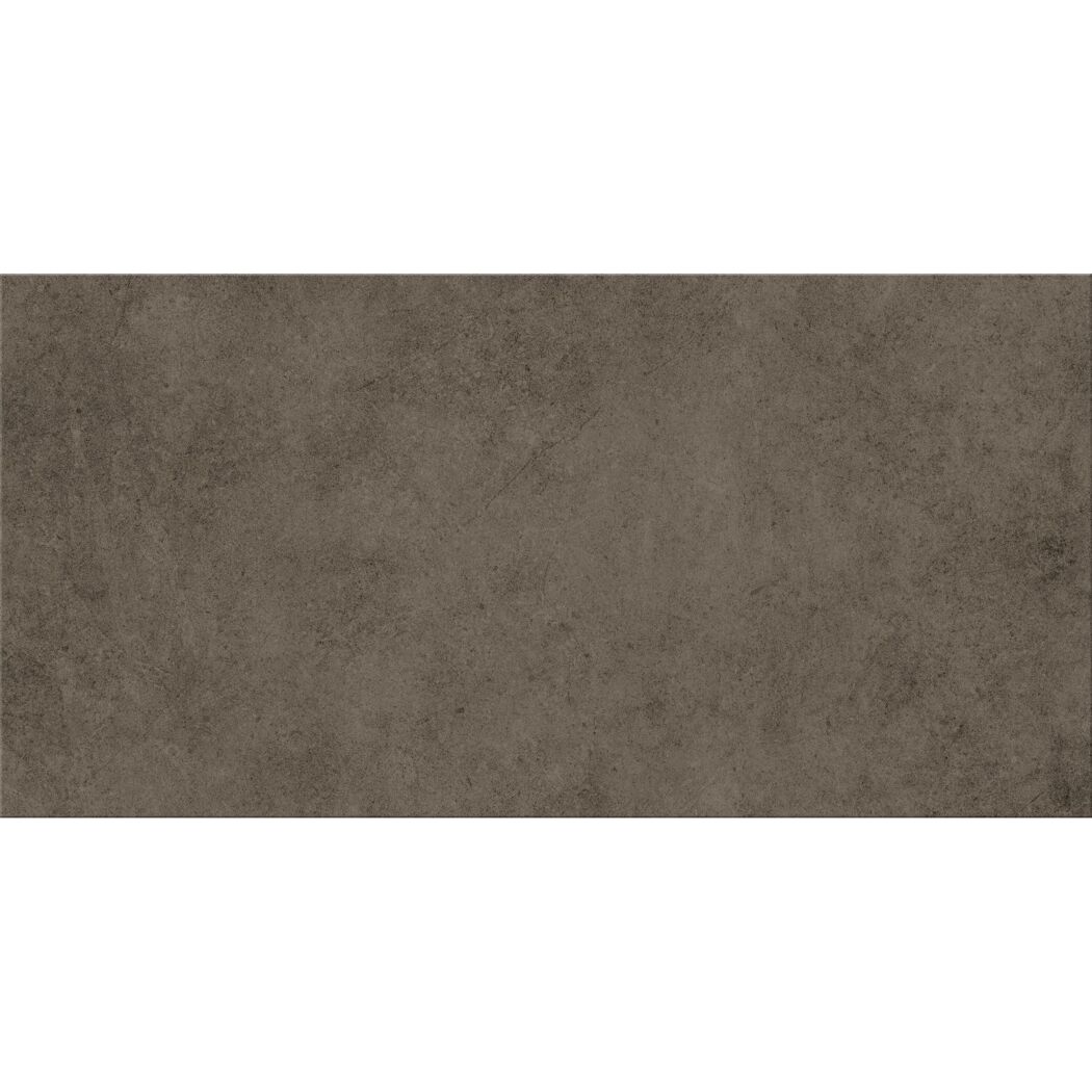 Bodenfliese 'Base' Feinsteinzeug anthrazit 29,8 x 59,8 x 0,8 cm