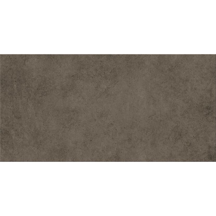 Bodenfliese 'Base' Feinsteinzeug anthrazit 29,8 x 59,8 x 0,8 cm