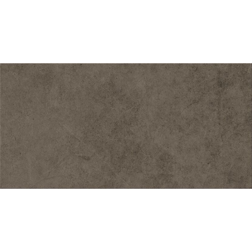 Bodenfliese 'Base' Feinsteinzeug anthrazit 29,8 x 59,8 x 0,8 cm