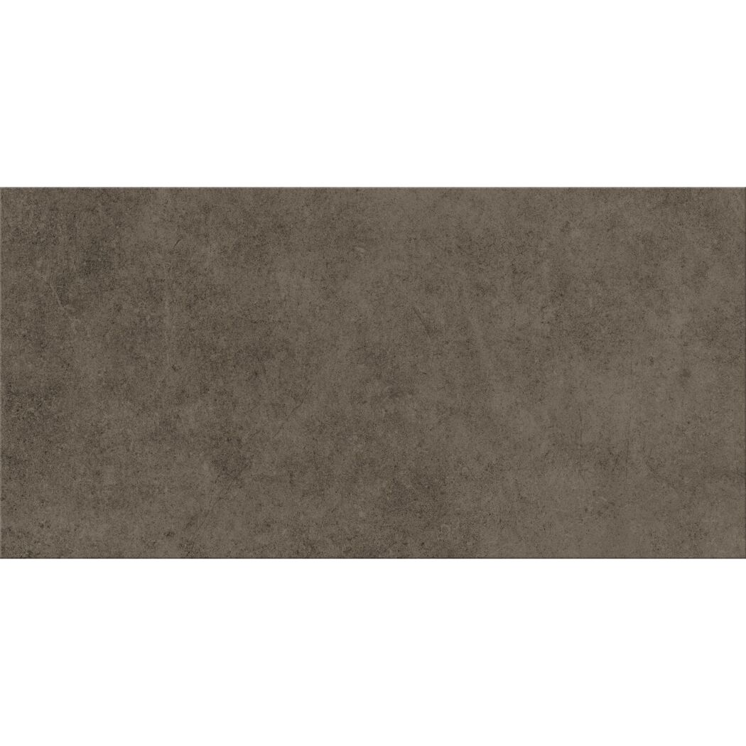 Bodenfliese 'Base' Feinsteinzeug anthrazit 29,8 x 59,8 x 0,8 cm