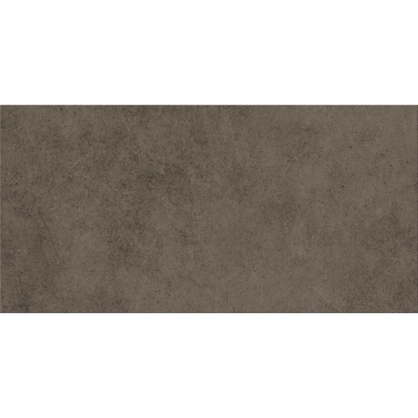 Bodenfliese 'Base' Feinsteinzeug anthrazit 29,8 x 59,8 x 0,8 cm