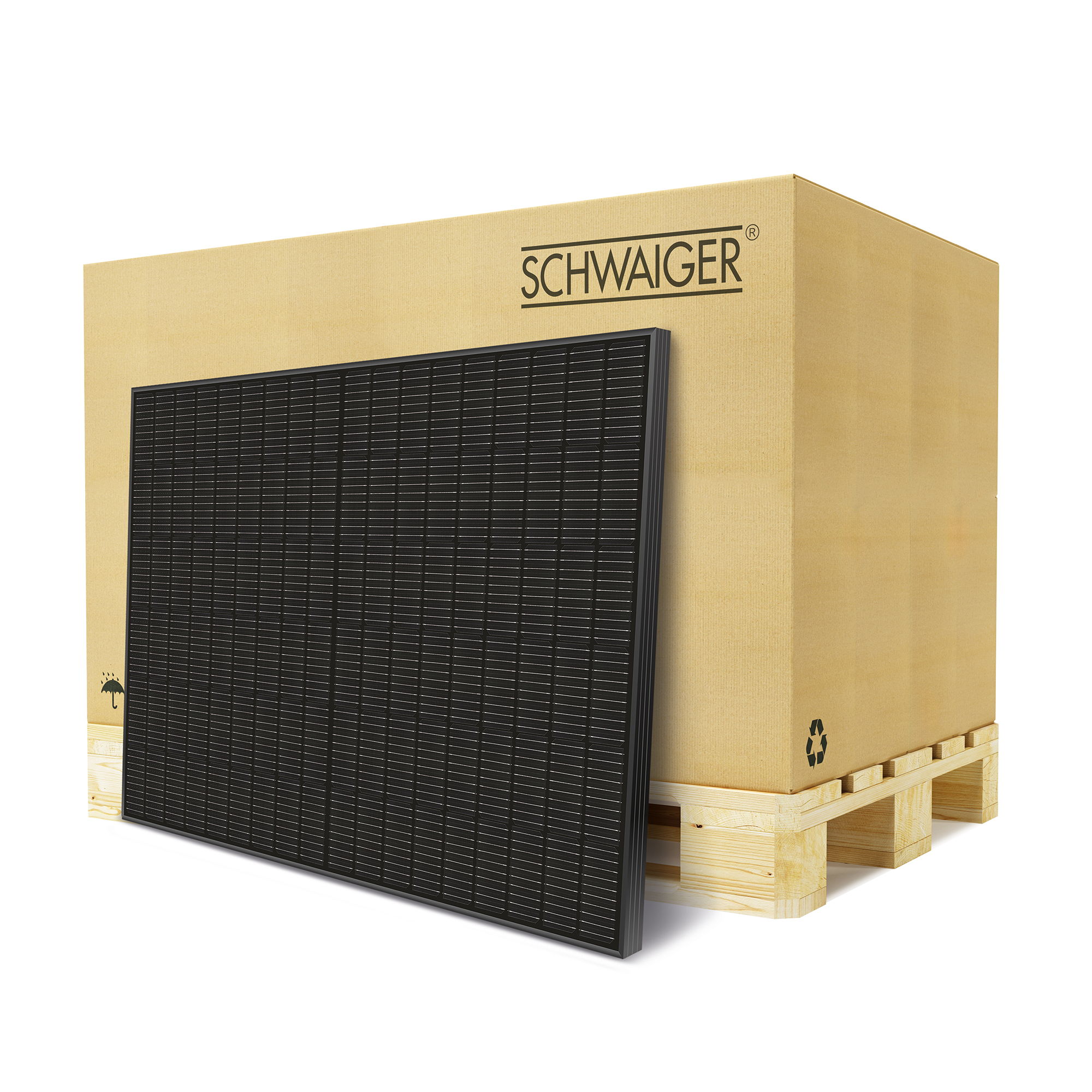 Solarmodul 'SOPA6450' bifazial 450 Wp