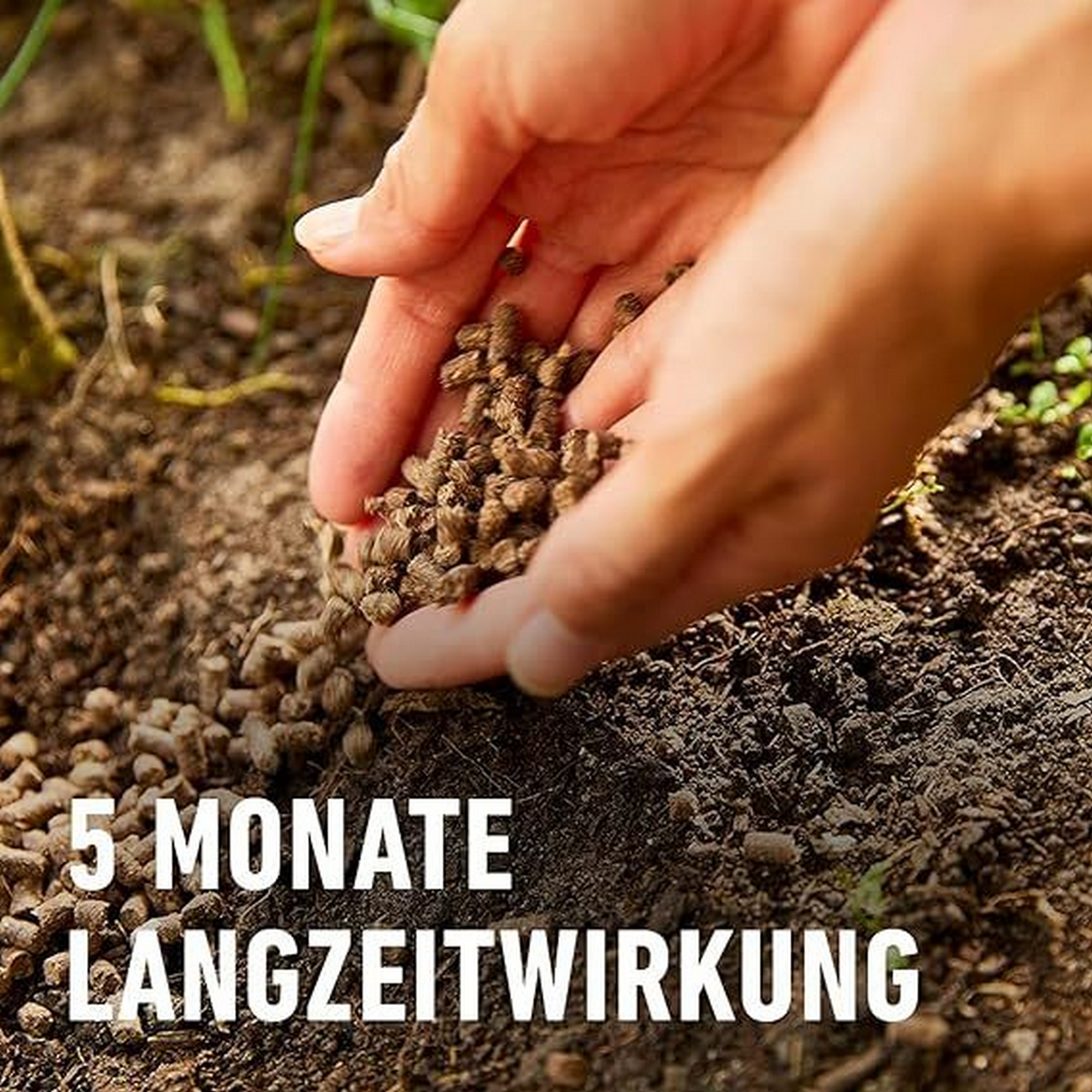 Bio-Tomatendünger mit Schafwolle 750 g