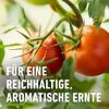Bio-Tomatendünger mit Schafwolle 750 g