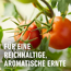 Bio-Tomatendünger mit Schafwolle 750 g