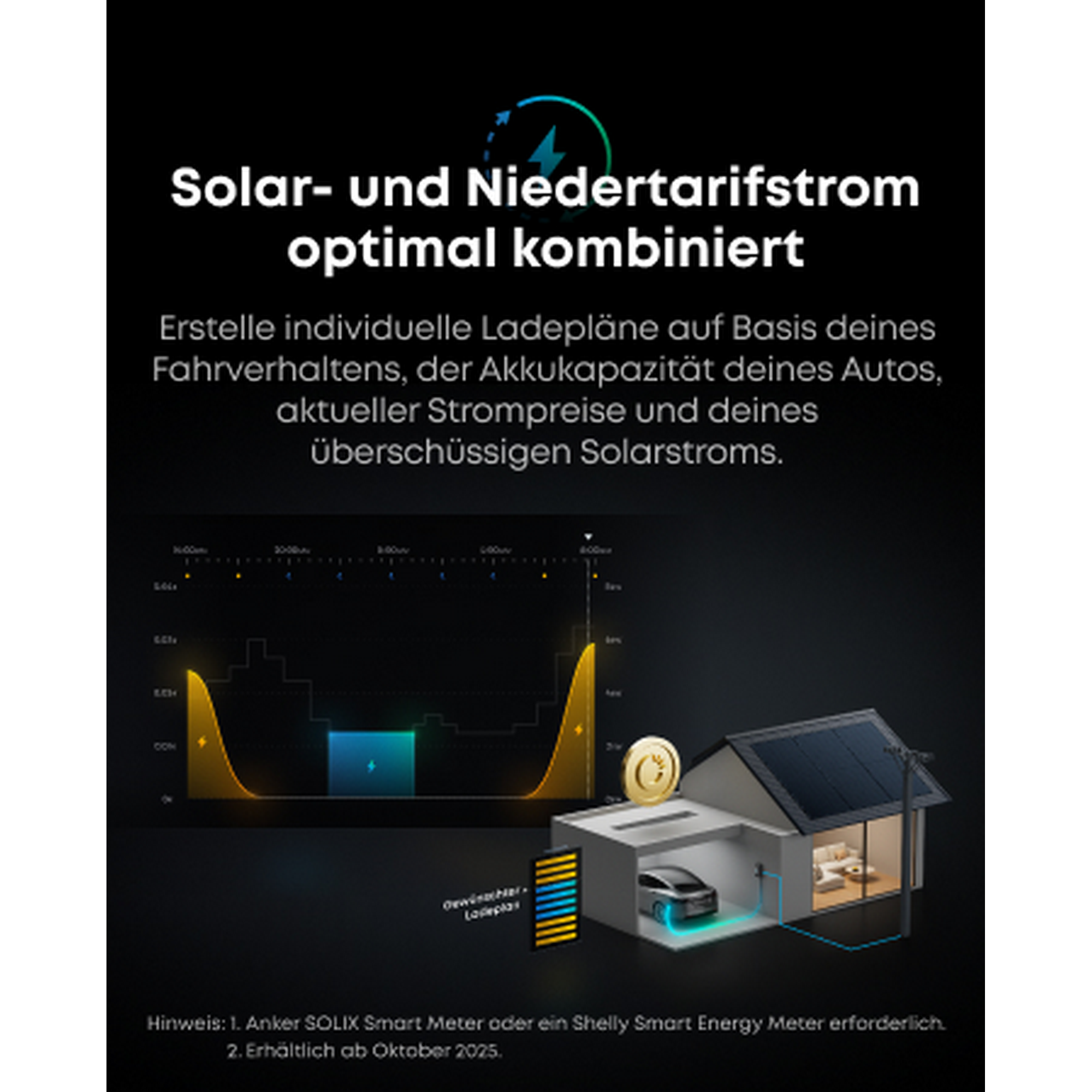 Wallbox 'V1 smartes Ladegerät' Kabel-Variante 11 kW