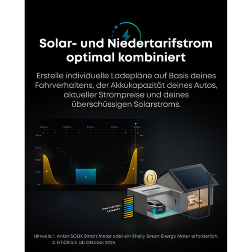 Wallbox 'V1 smartes Ladegerät' Kabel-Variante 11 kW