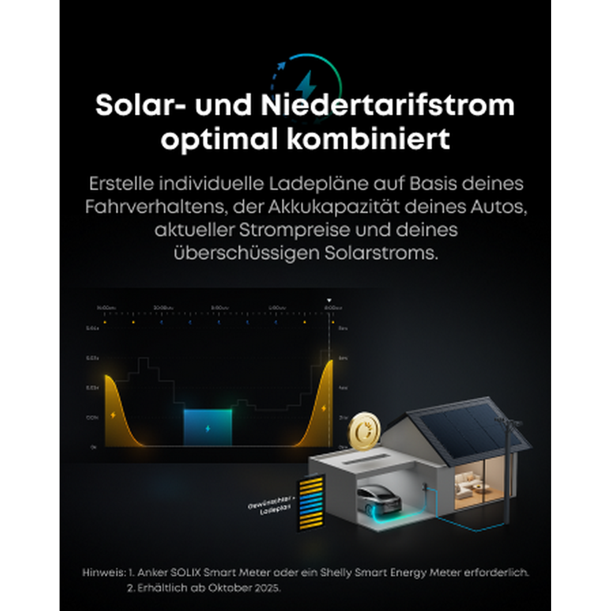 Wallbox 'V1 smartes Ladegerät' Stecker-Variante 11 kW