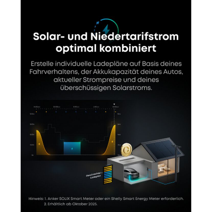 Wallbox 'V1 smartes Ladegerät' Stecker-Variante 11 kW