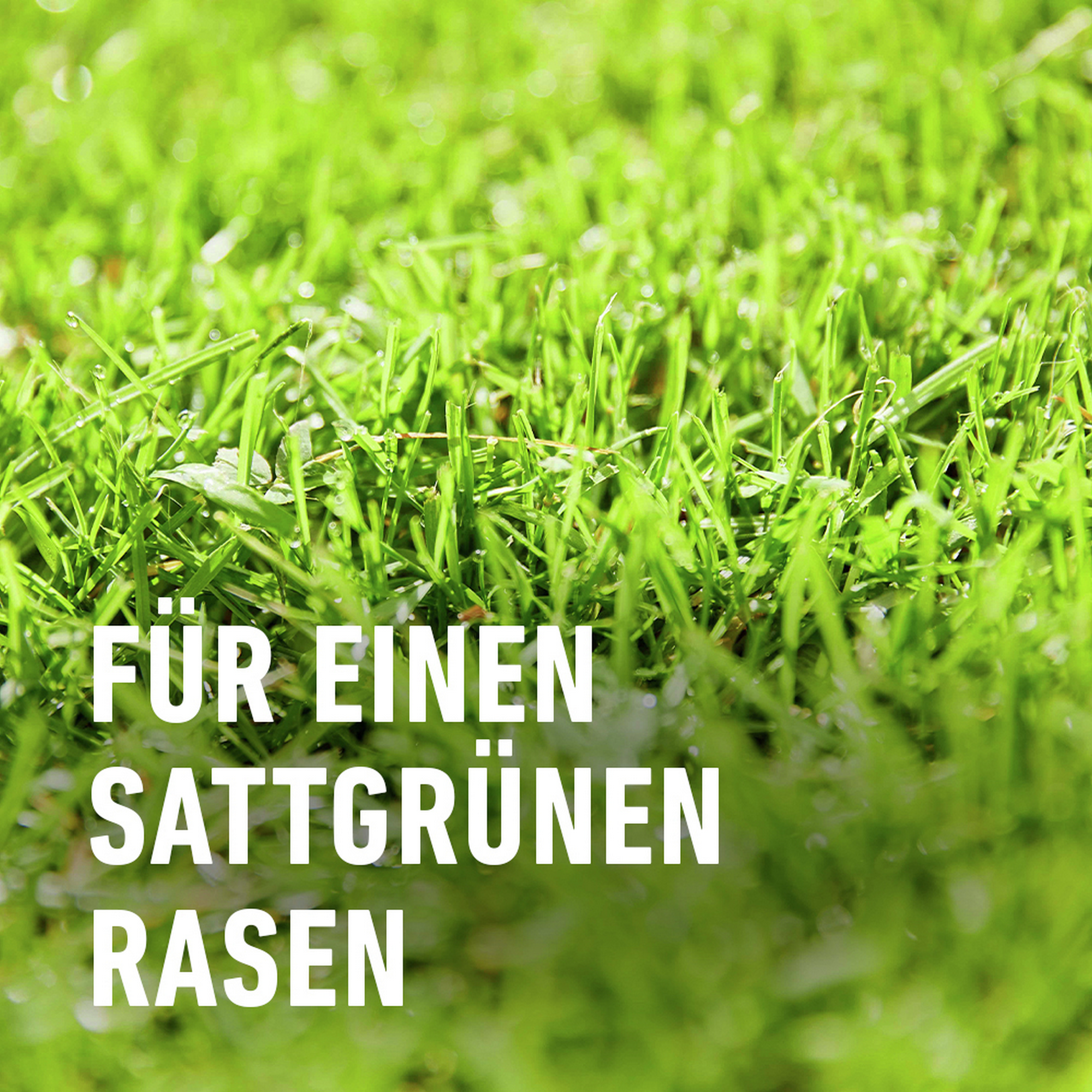 Vertikutier-Mix 'COMPO SAAT' 4 kg