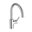 Küchenarmatur 'Ceralife' chromfarben 22 cm schwenkbar