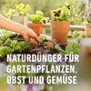 Bio-Universal Dünger mit Schafwolle 2kg