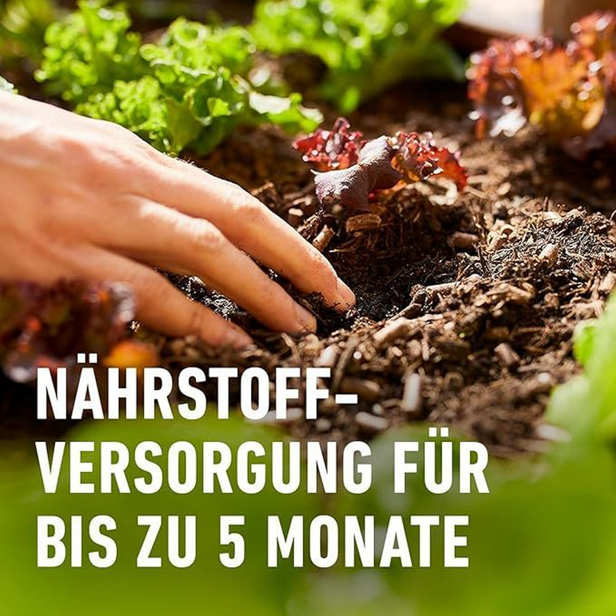 Bio-Universal Dünger mit Schafwolle 2kg