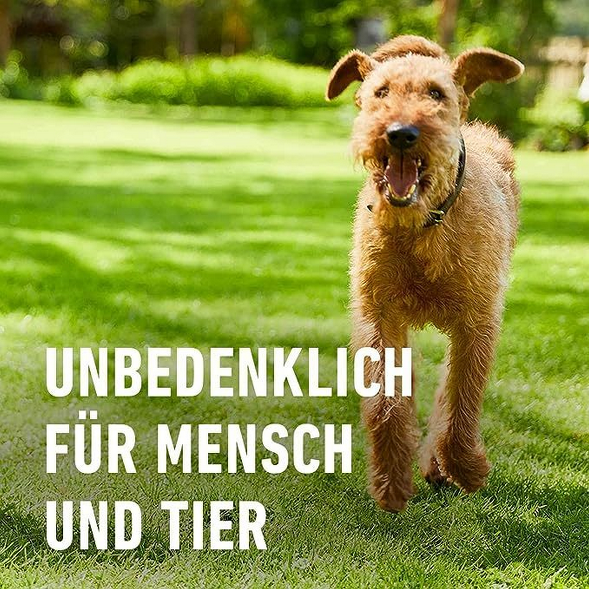 Bio-Bodenaktivator für Rasen 10 kg