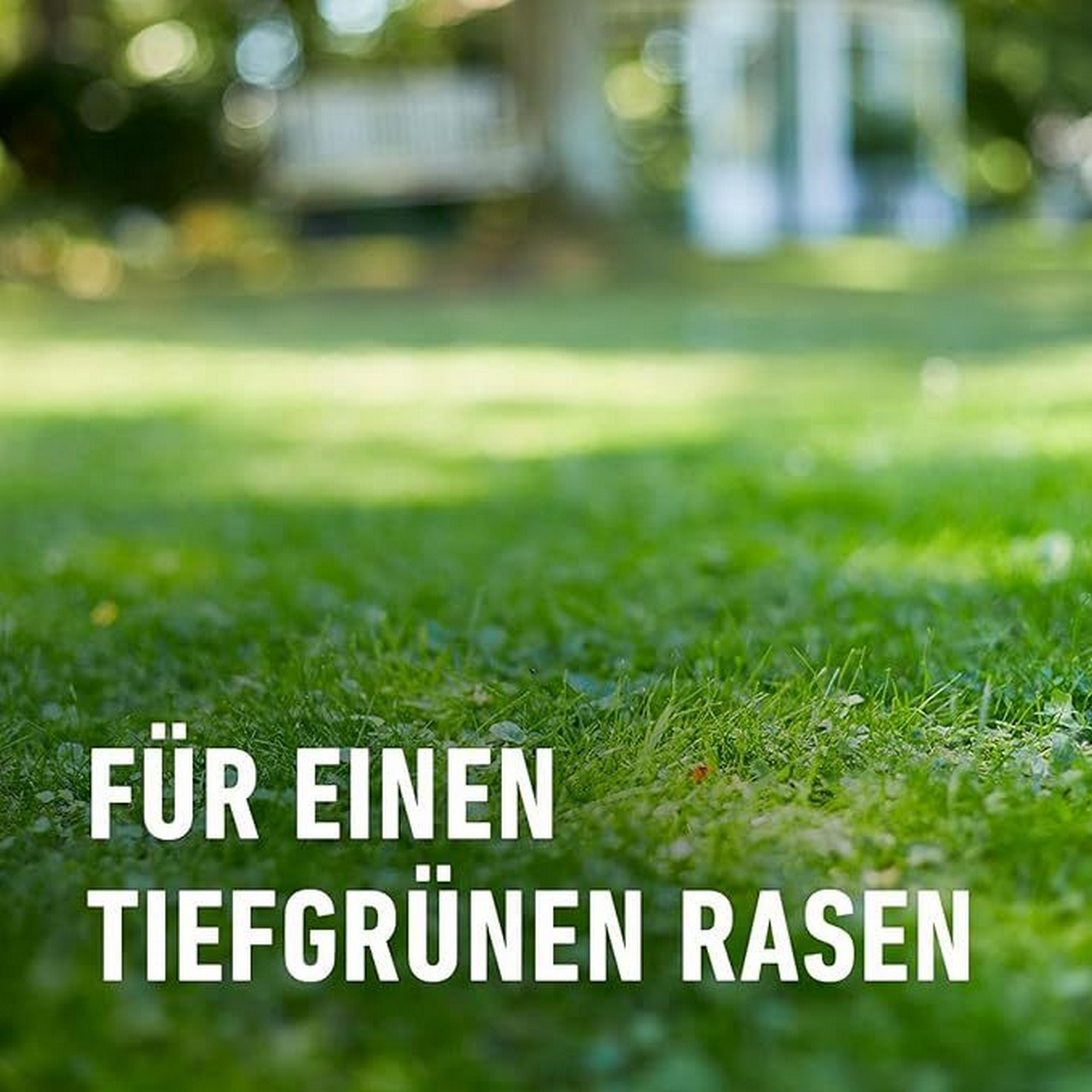 Bio-Bodenaktivator für Rasen 10 kg