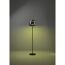 LED-Stehleuchte 'Alfero-Z' RGB/CCT schwarz/chromfarben Ø 27,5 x 139,5 cm