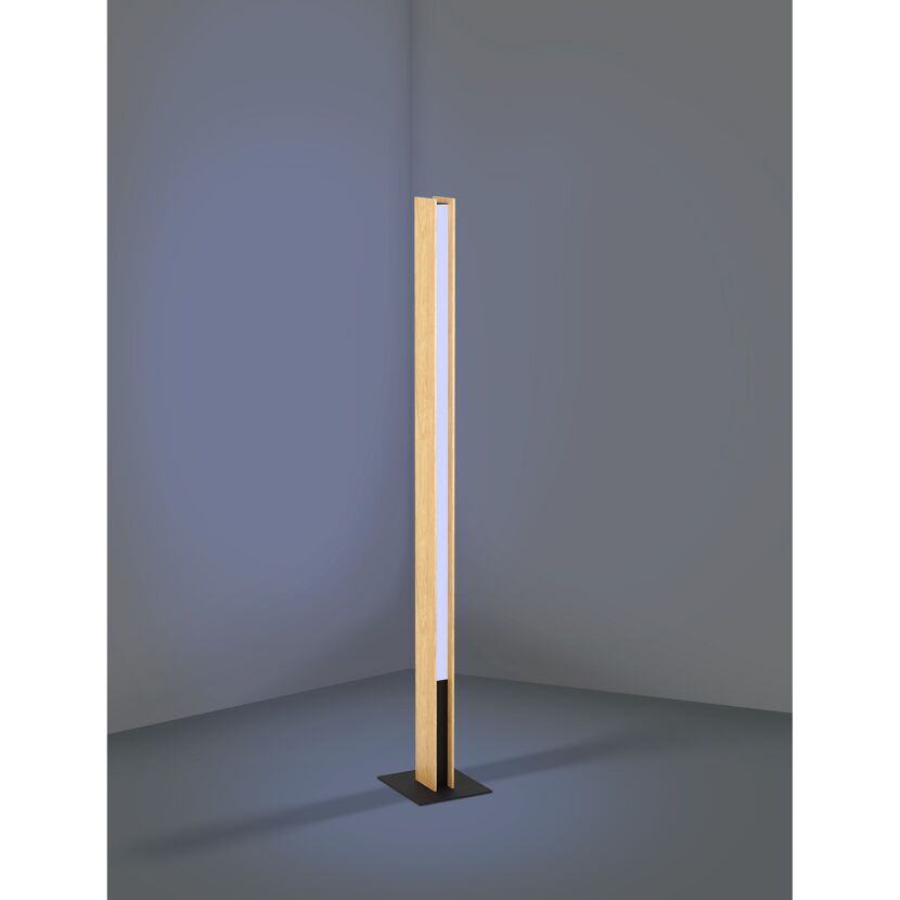 LED-Stehleuchte 'Anchorena-Z' ZIG-RGB/CCT schwarz 5,5 x 150 cm