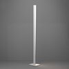 LED-Stehlampe 'Bolognano-Z' dimmbar 2,5 x 150 cm