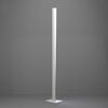 LED-Stehlampe 'Bolognano-Z' dimmbar 2,5 x 150 cm