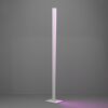 LED-Stehlampe 'Bolognano-Z' dimmbar 2,5 x 150 cm