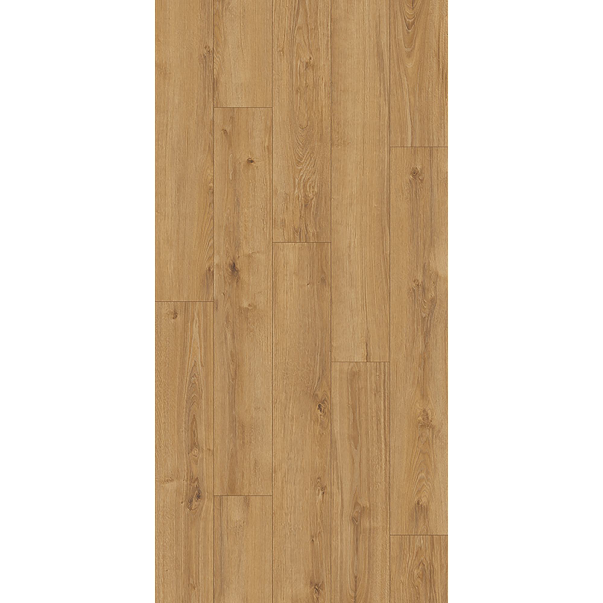 Laminat 'Old Camberwick Oak' Holznachbildung 8 mm