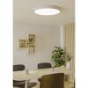 LED-Deckenleuchte 'Gallizzi-Z' 36,5 W 5300 lm RGB warmweiß bis kaltweiß Ø 69 cm