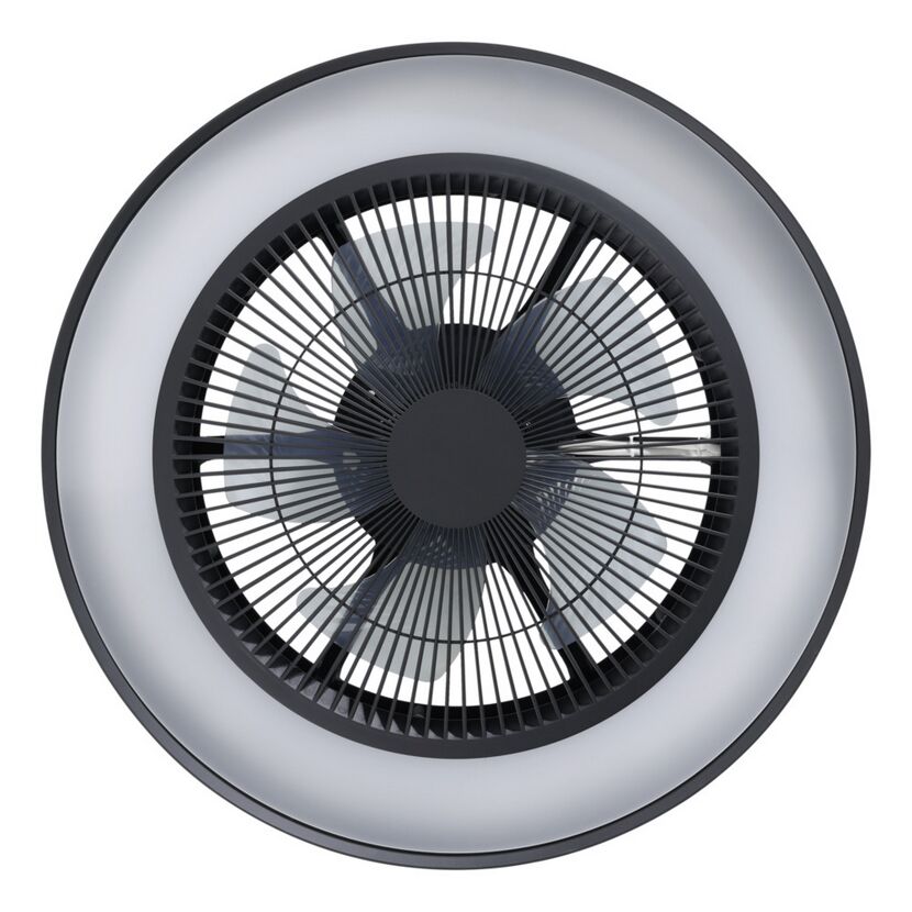 LED-Deckenventilator 'Vallonia' 31,7 W 3200 lm warmweiß-tageslichtweiß RGB Ø 48 cm