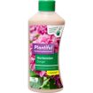 hauptbild