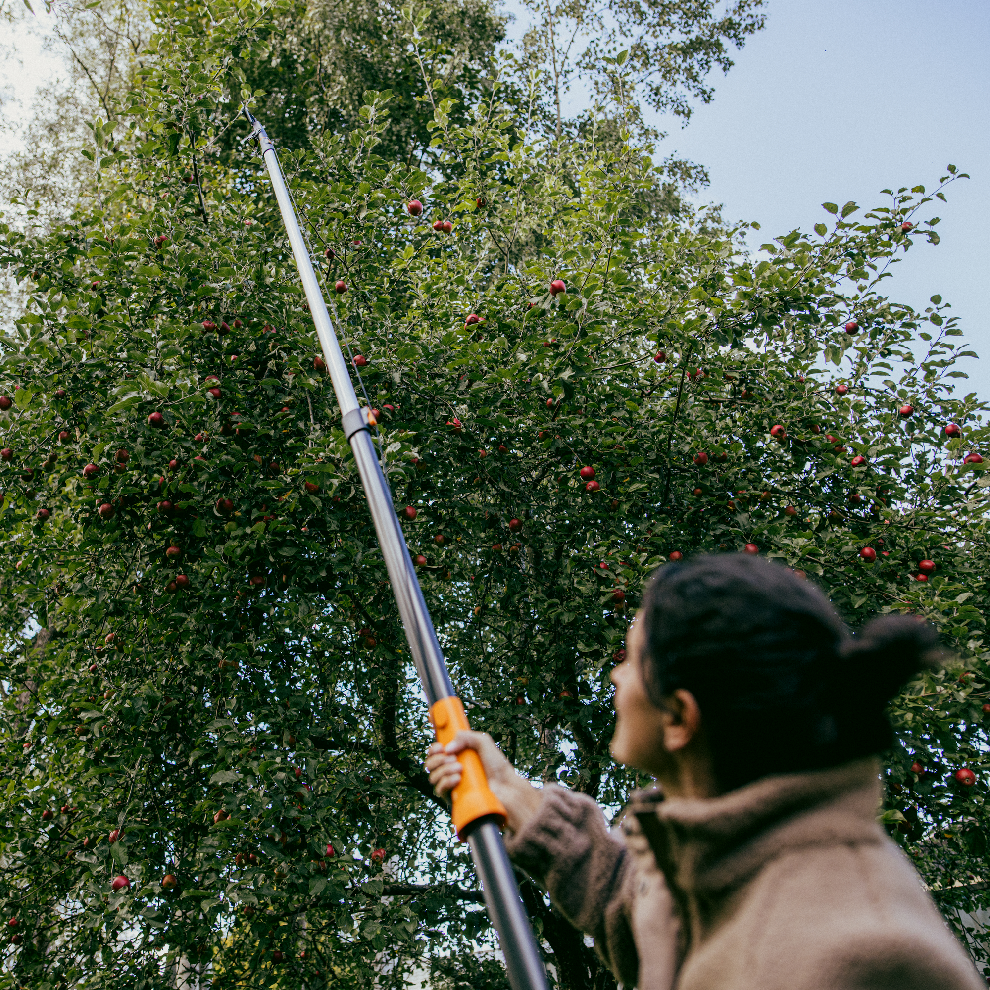 Baumschere 'OneClick' 42,7 cm, ohne Stiel