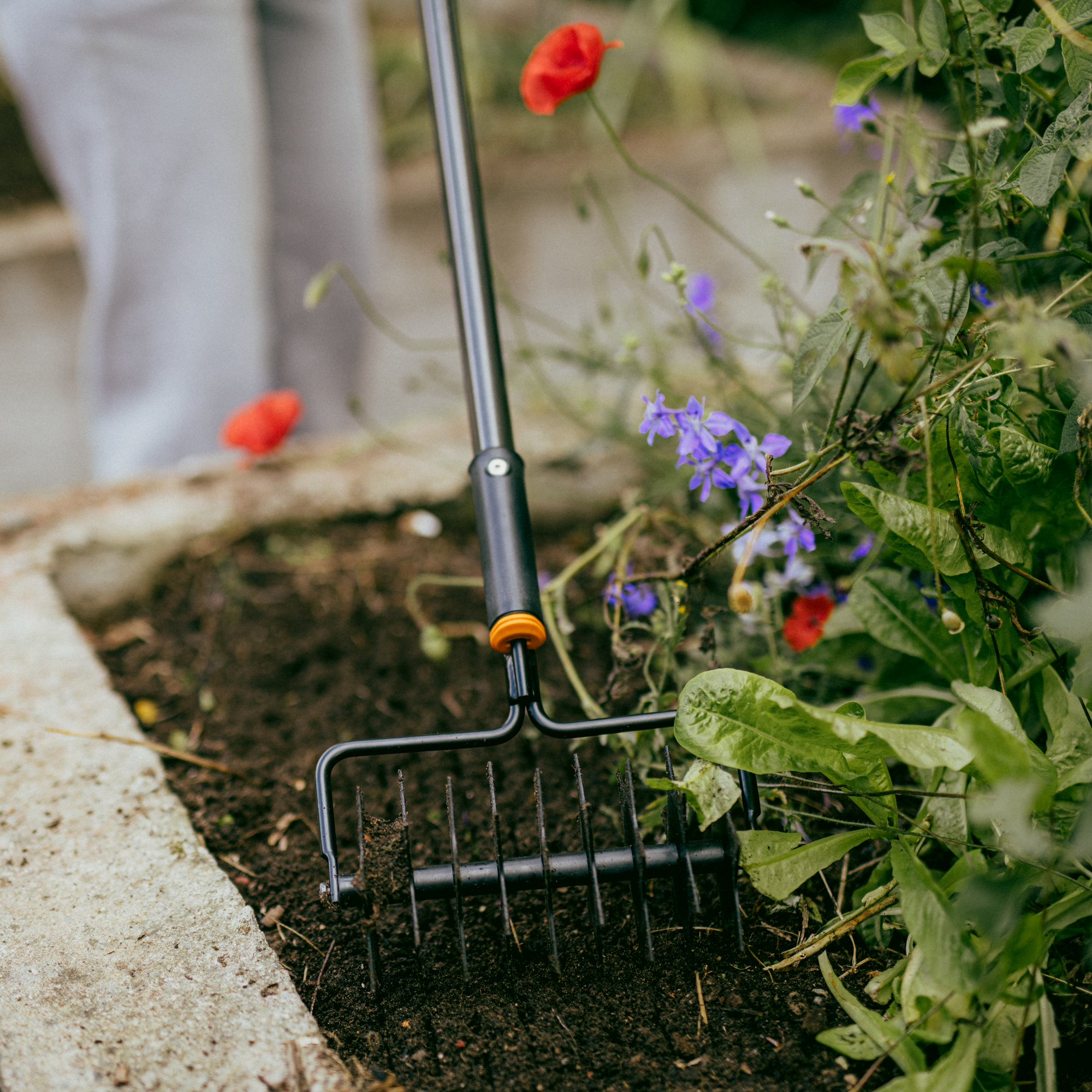 Sternfräse 'OneClick' 25,9 cm, ohne Stiel
