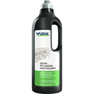 Grünpflanzen- und Palmendünger 1 l