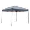 Faltpavillon anthrazit 300 x 300 cm anthrazit