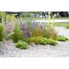 Mineral Mulch Quarzit 8-16 mm 25 kg