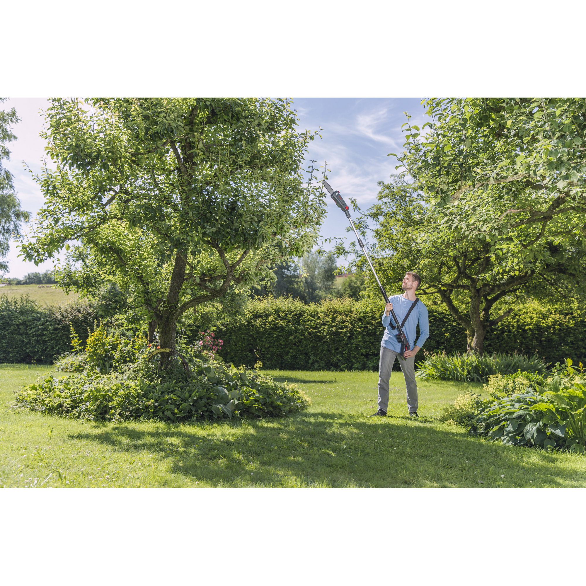 Akku-Hochentaster 'CSAD 1820' 18/36 V mit Akku und Ladegerät