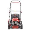 Benzin-Rasenmäher 'Easy 4.66 P-D' 1,9 kW 4-in-1 System bis 1200 m²