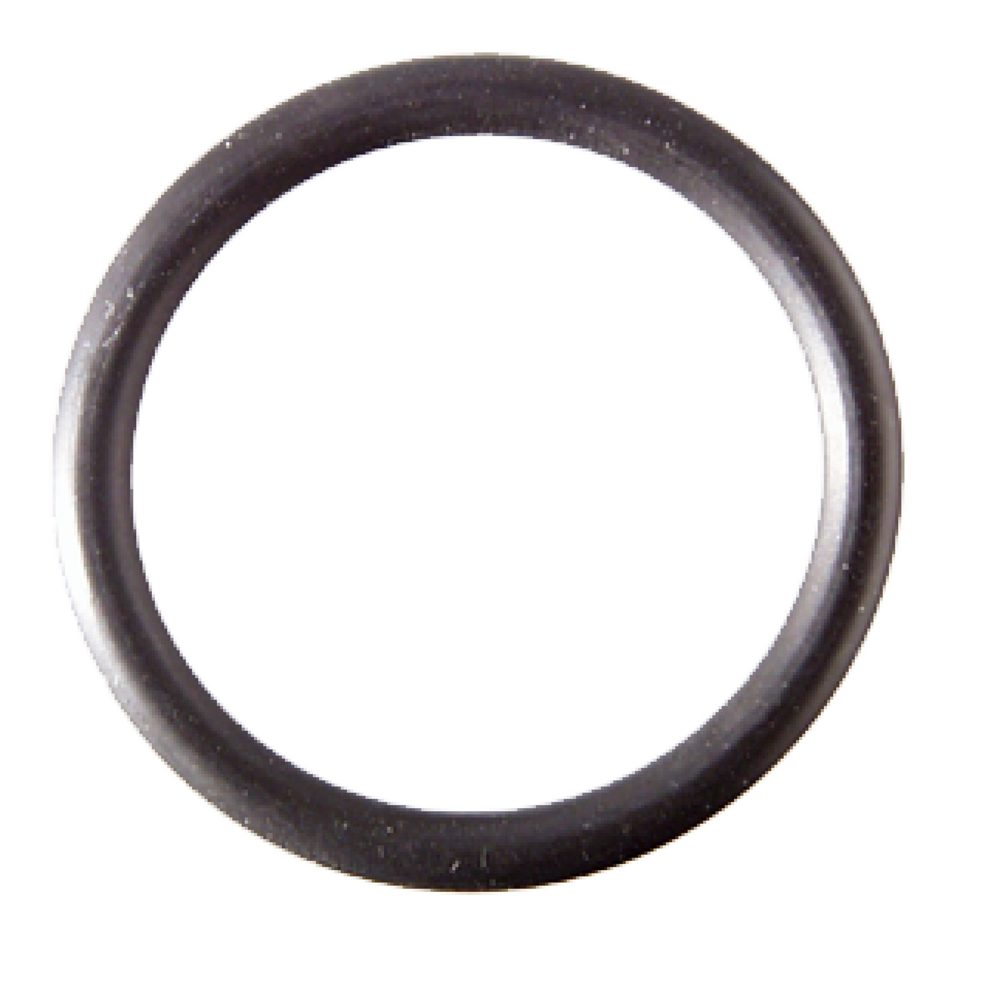 O-Ringe Ø 22 mm 2 Stück