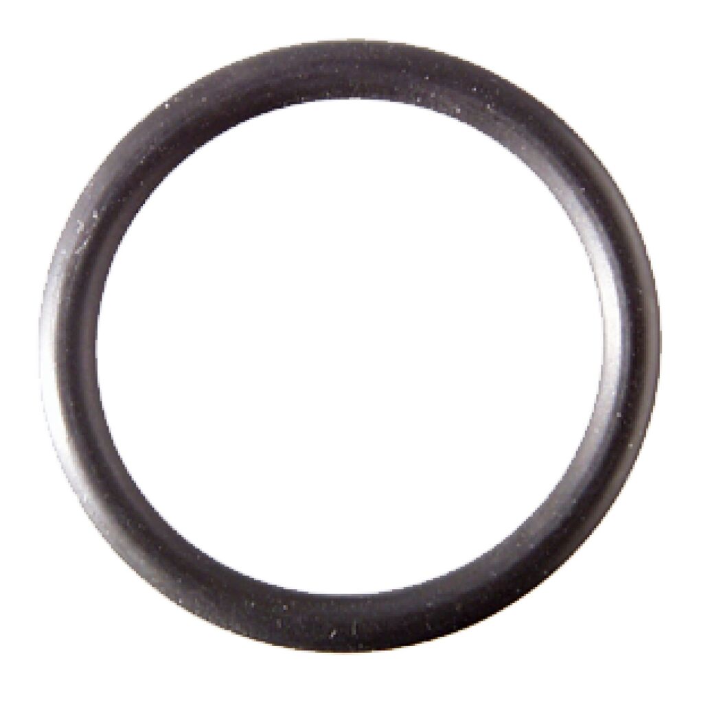 O-Ringe Ø 22 mm 2 Stück