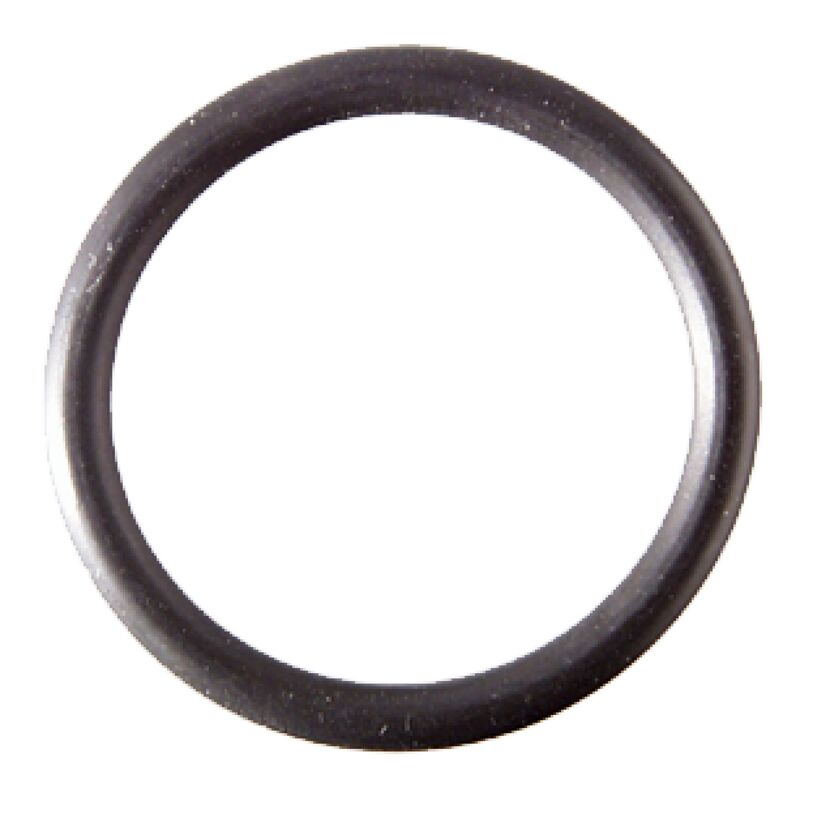 O-Ringe Ø 22 mm 2 Stück