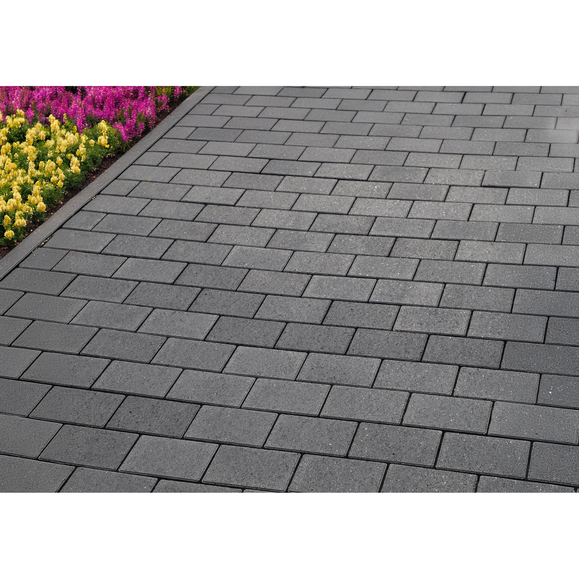 Pflasternstein 'AnsinaSlim' 12 x 18 x 5 cm anthrazit