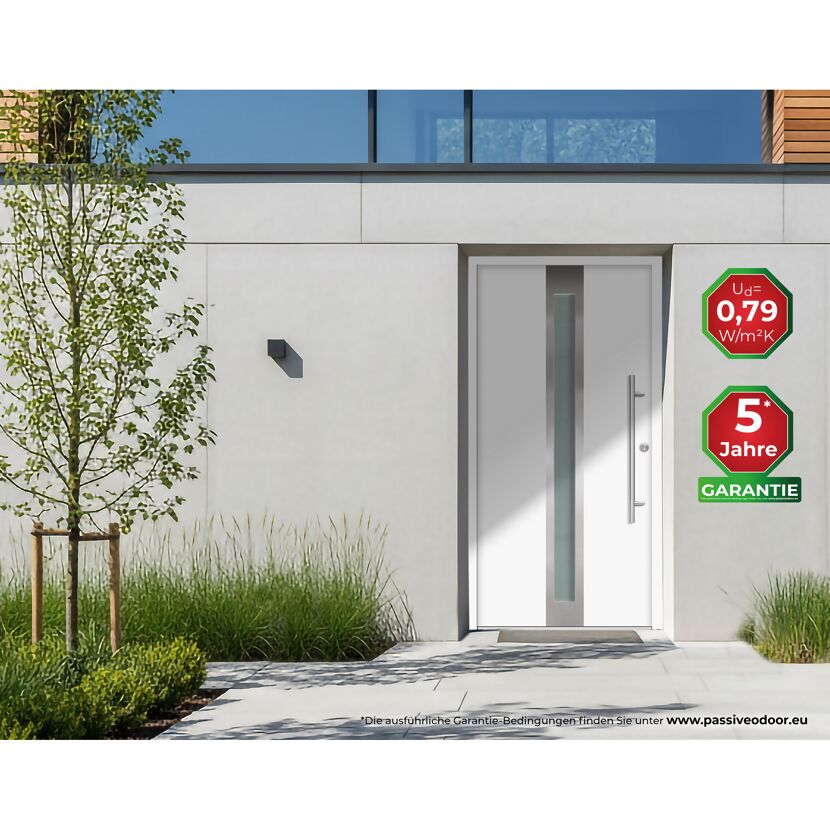 Alu-Stahlhaustür 'B01' weiß rechts 110 x 210 cm