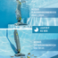 Akku‑Poolsauger 'POOL & SPA VAC' Handgerät