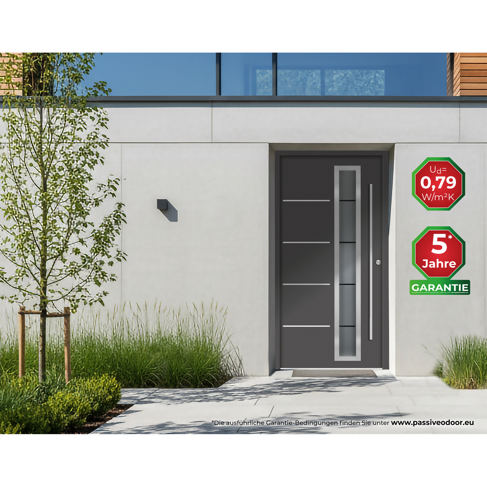 Alu-Stahlhaustür 'B06' anthrazit rechts 110 x 210 cm