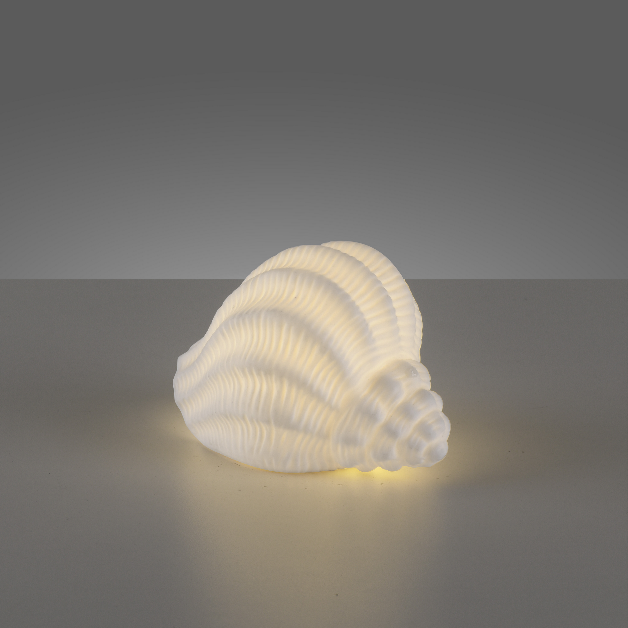 LED-Keramikleuchte 'Marishell' 8,8 x 8,2 x 12,3 cm