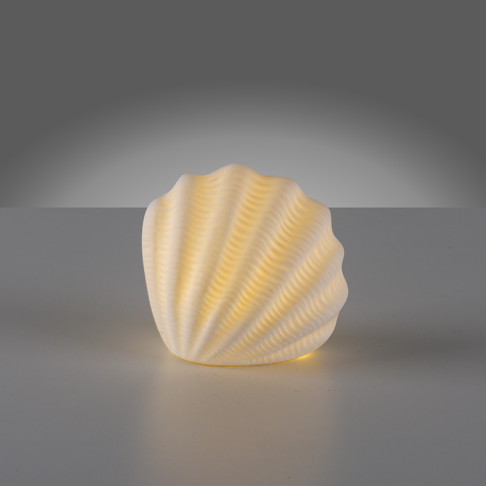 LED-Keramikleuchte 'Marishell' 6,5 x 9,4 x 9,8 cm