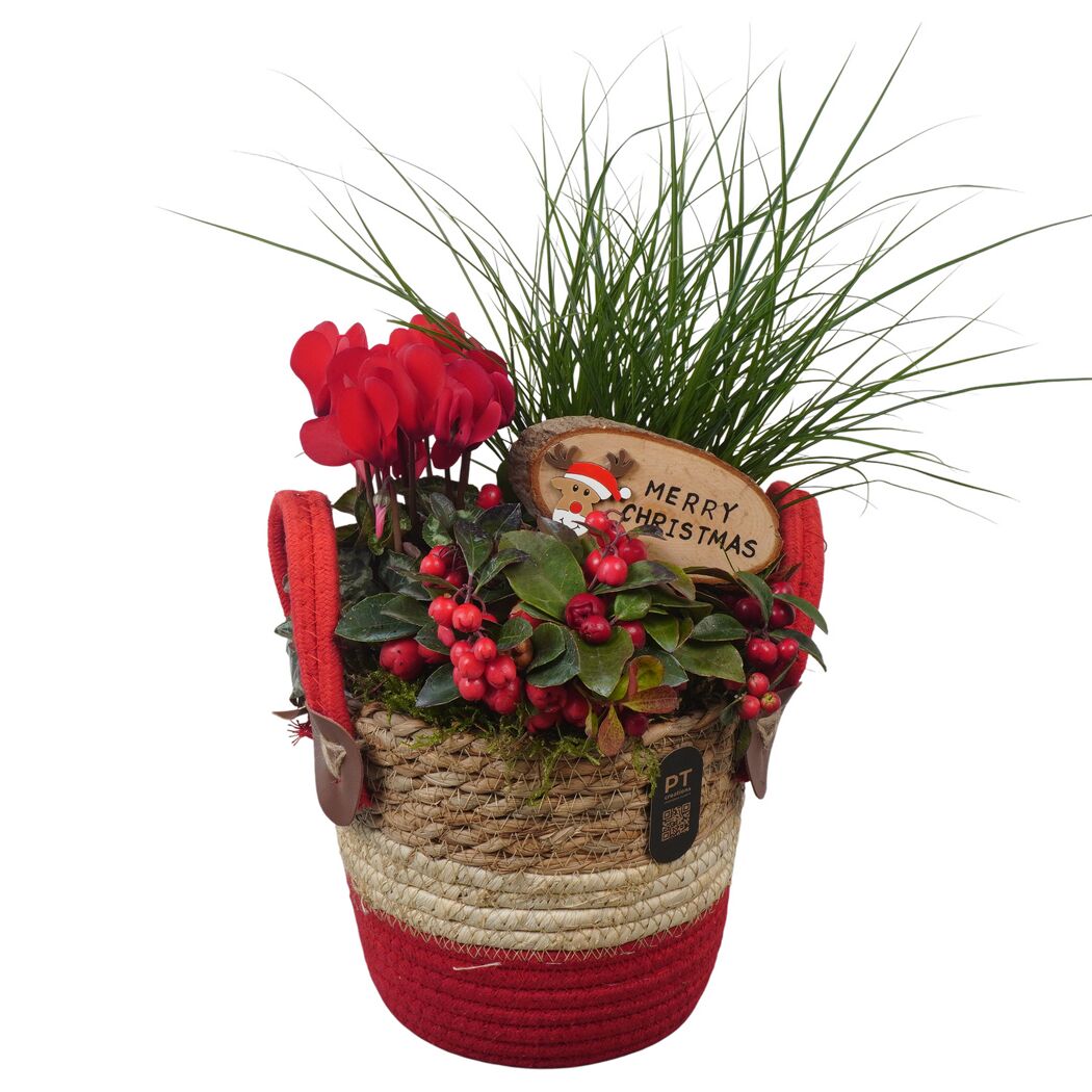 Seegraskorb bepflanzt 18 cm