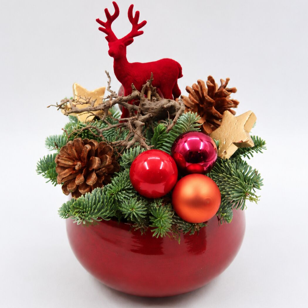 Adventsarrangement rot 18 cm Topf